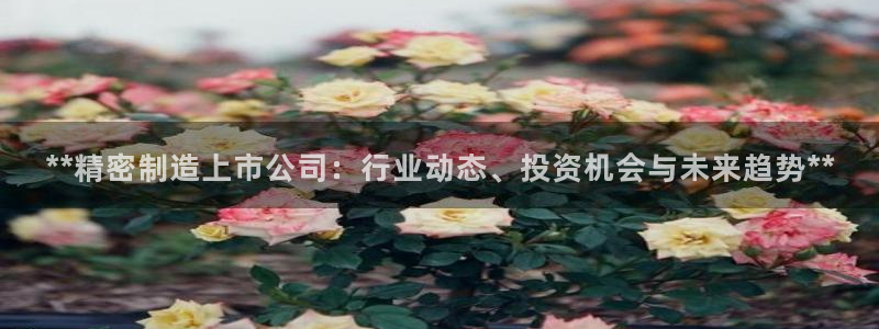 彩神网合法吗