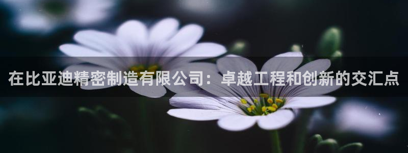 彩神vii购彩l心