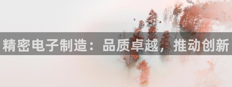 彩神是什么平台的游戏