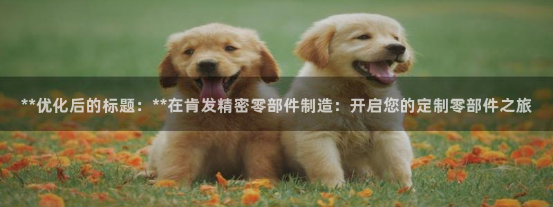 在彩神网输了六万多怎么拿回来
