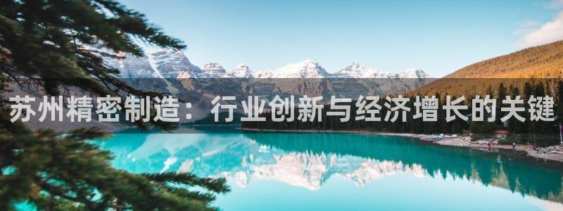 彩神app能挣到钱吗