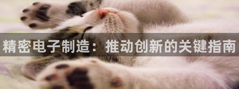 彩神v8客户端