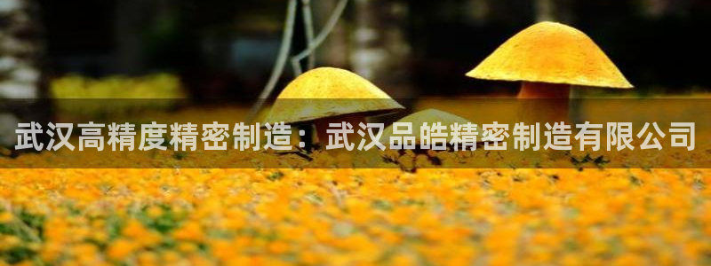 彩神V集团有限公司