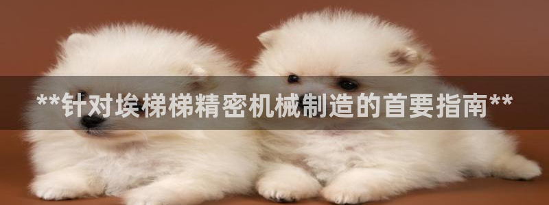 彩神ll能赚钱吗