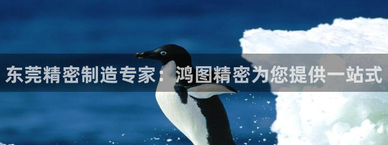 彩神v8手机客户端下载