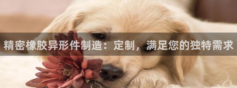 彩神平台