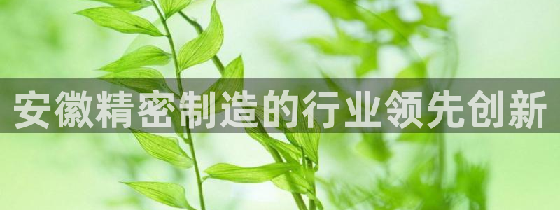 彩神vlll官方网