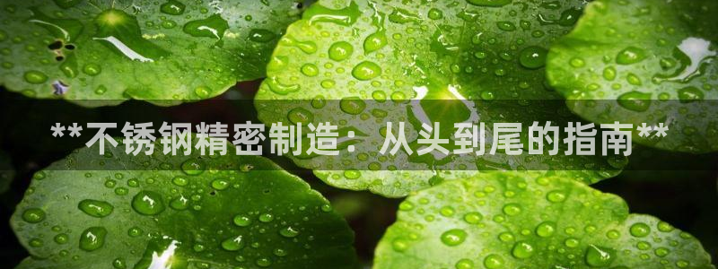 彩神vi争霸官网
