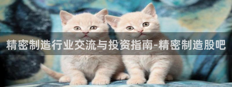 彩神Vll购彩大厅