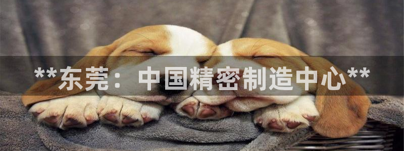 彩神VI首页