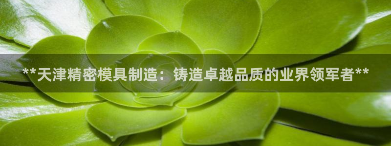 新版彩神v8登录不了