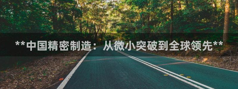 彩神新微聊：**中国精密制造：从微小突破到全球领先**