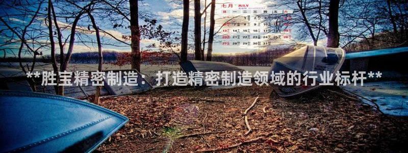 彩神v大众娱乐：**胜宝精密制造：打造精密制造领域的行业标杆**