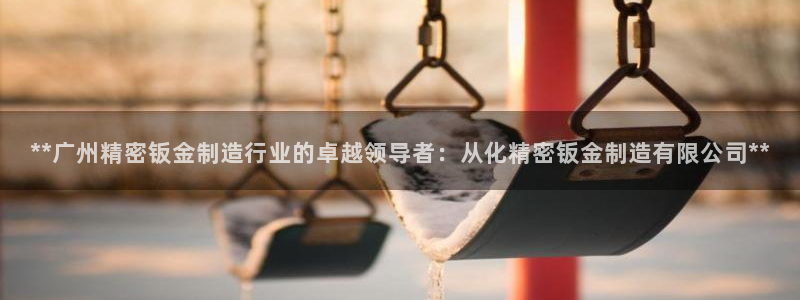 彩神velcome购彩大厅：**广州精密钣金制造行业的卓越领导者：从化精密钣金制造有限公司**