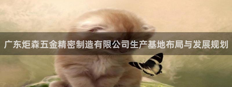 彩神ii官方网：广东炬森五金精密制造有限公司生产基地布局与发展规划