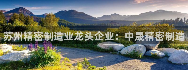 下载彩神通关注金码：苏州精密制造业龙头企业：中晟精密制造