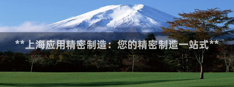 彩神v8是一个什么平台：**上海应用精密制造：您的精密制造一站式**