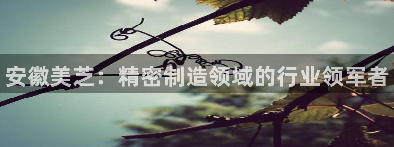 彩神vll首页企业文化：安徽美芝：精密制造领域的行业领军者