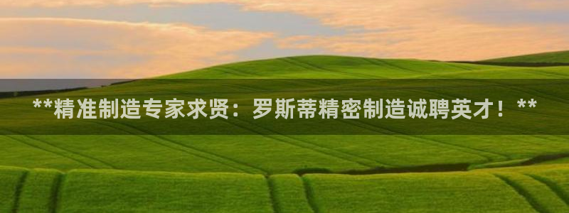 彩神8官网下：**精准制造专家求贤：罗斯蒂精密制造诚聘英才！**