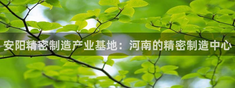 彩神xapp官方网站：安阳精密制造产业基地：河南的精密制造中心