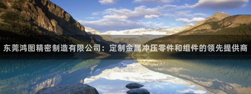 彩神vll首页：东莞鸿图精密制造有限公司：定制金属冲压零件和组件的领先提供商