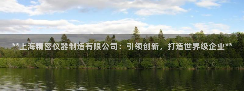 彩神是正规平台吗知乎：**上海精密仪器制造有限公司：引领创新，打造世界级企业**