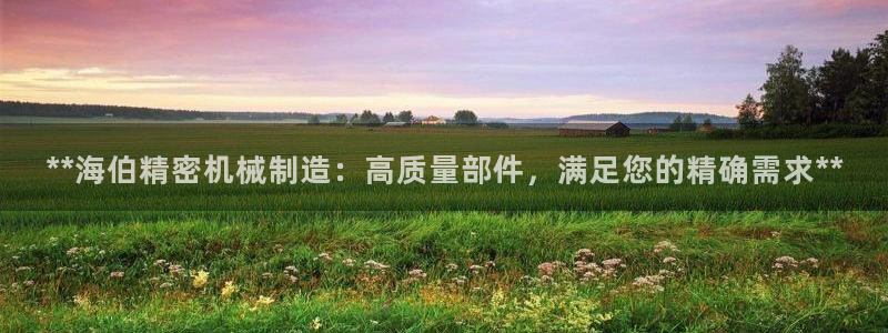 彩神vii官网：**海伯精密机械制造：高质量部件，满足您的精确需求**
