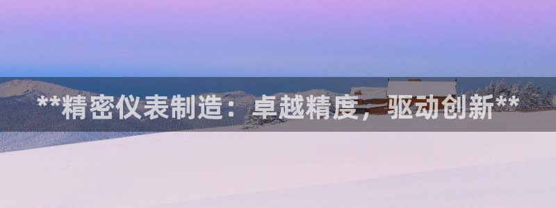 彩神这个平台是真的吗：**精密仪表制造：卓越精度，驱动创新**