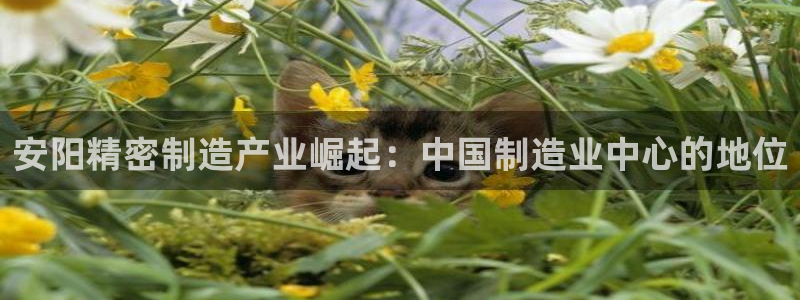 彩神这个平台是真的吗：安阳精密制造产业崛起：中国制造业中心的地位