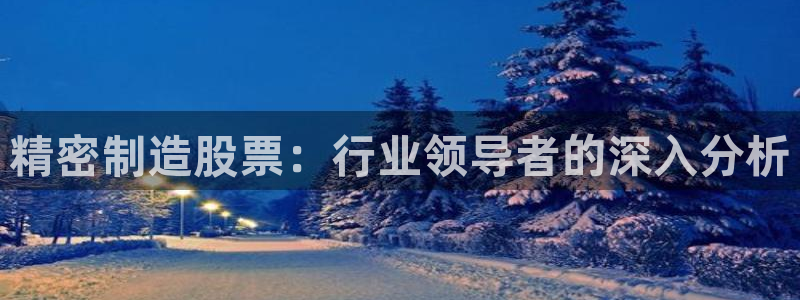 在彩神网输了六万多怎么拿回来：精密制造股票：行业领导者的深入分析
