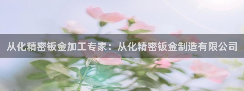 所有彩神购买首页都一样吗：从化精密钣金加工专家：从化精密钣金制造有限公司