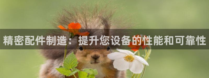 彩神赢钱了吗：精密配件制造：提升您设备的性能和可靠性