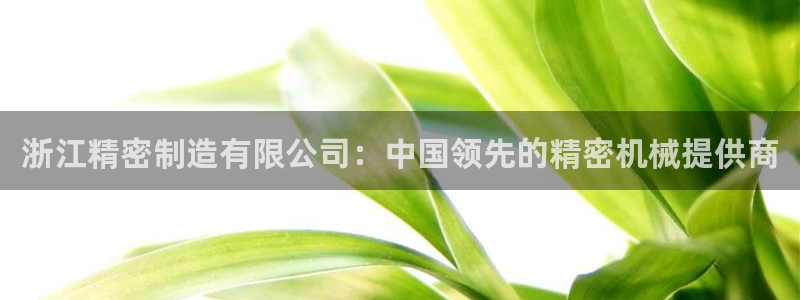 彩神vll首页企业文化：浙江精密制造有限公司：中国领先的精密机械提供商