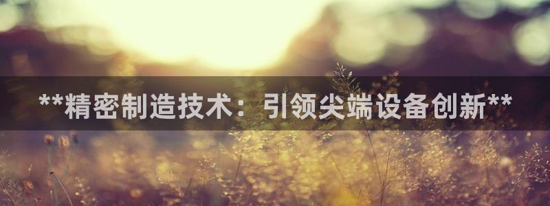 彩神vip购彩大厅下载：**精密制造技术：引领尖端设备创新**