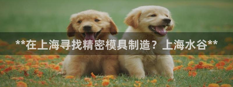 彩神v8是真的挣钱吗知乎：**在上海寻找精密模具制造？上海水谷**