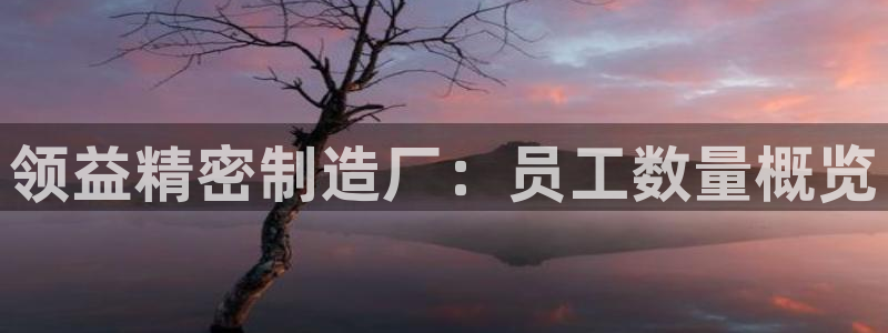 彩神购彩-购彩大厅入口下载：领益精密制造厂：员工数量概览