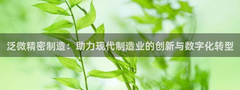 彩神怎么样可以提现：泛微精密制造：助力现代制造业的创新与数字化转型