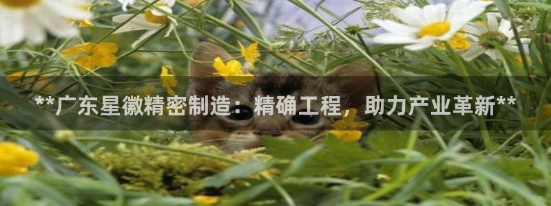彩神官方邀请码是多少：**广东星徽精密制造：精确工程，助力产业革新**