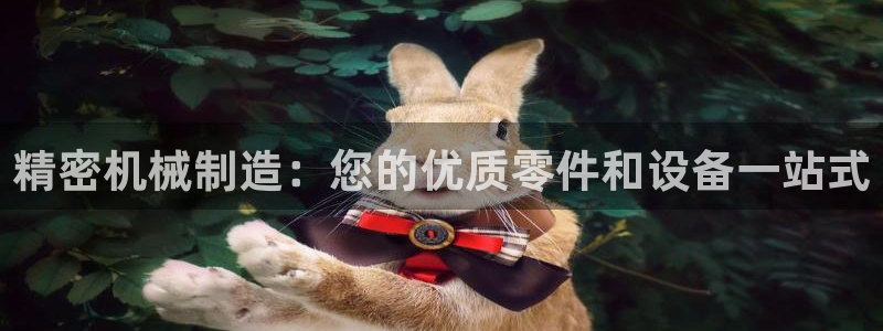 彩神vll首页环球：精密机械制造：您的优质零件和设备一站式