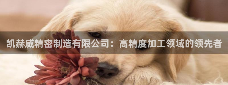 彩神vi官网版：凯赫威精密制造有限公司：高精度加工领域的领先者