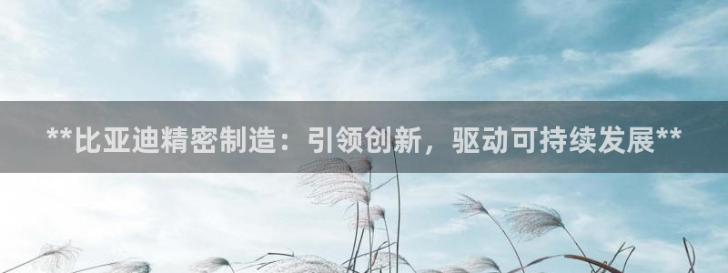 彩神8彩平台：**比亚迪精密制造：引领创新，驱动可持续发展**