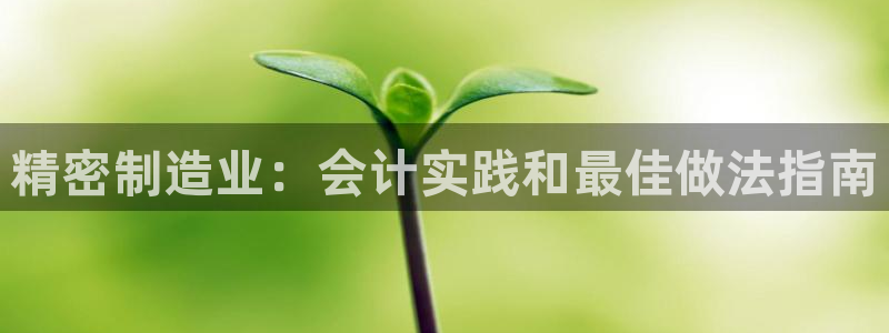 彩神8是正规平台吗知乎：精密制造业：会计实践和最佳做法指南