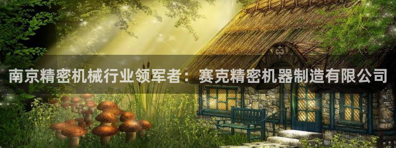 彩神争霸平台：南京精密机械行业领军者：赛克精密机器制造有限公司