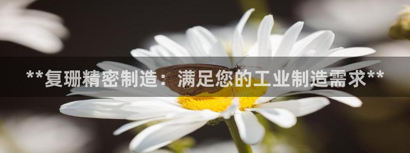 彩神v8几个版本：**复珊精密制造：满足您的工业制造需求**