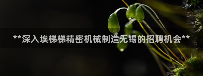 彩神Vii购彩-购彩大厅：**深入埃梯梯精密机械制造无锡的招聘机会**