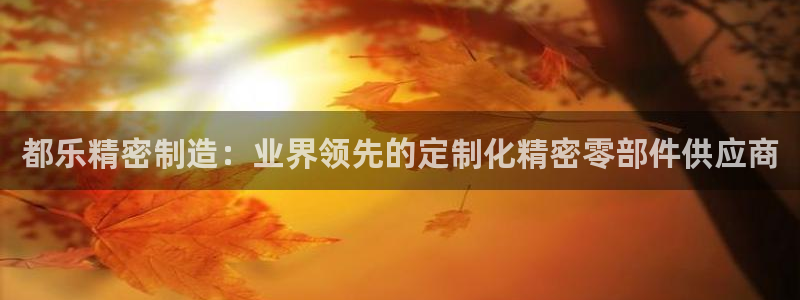 彩神8购彩-购彩大厅：都乐精密制造：业界领先的定制化精密零部件供应商