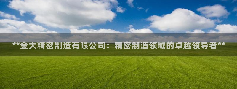 彩神ii官方网：**金大精密制造有限公司：精密制造领域的卓越领导者**