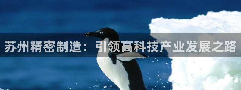 彩神赢的钱是哪里来的啊：苏州精密制造：引领高科技产业发展之路