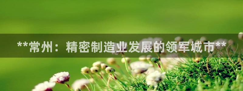 彩神赢的钱是哪里来的：**常州：精密制造业发展的领军城市**