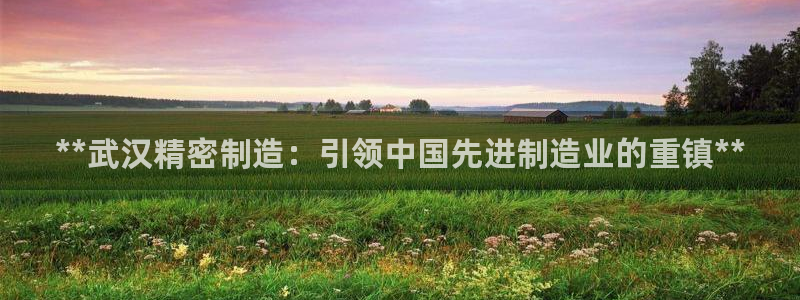彩神v8手机客户端下载：**武汉精密制造：引领中国先进制造业的重镇**
